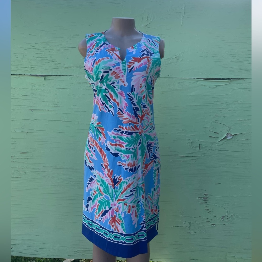 Barbara Erickson dress